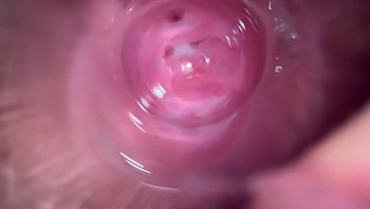 Get An Intimate View Of A Teen'S Orgasmic Close-Up With Glasses On