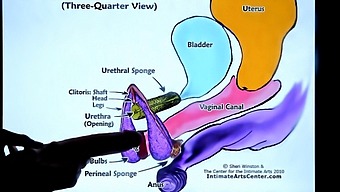 Pretty Tutor Teaches You How To Make Her Squirt Again